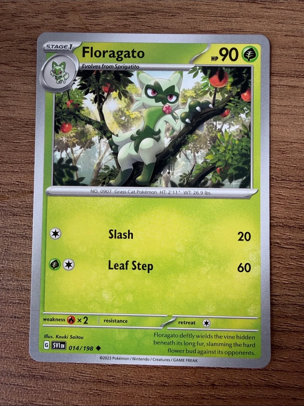 🐱 Cat Pokémon Card Lot | Sprigatito Litten Meowth Perrserker ✨5/$25✨